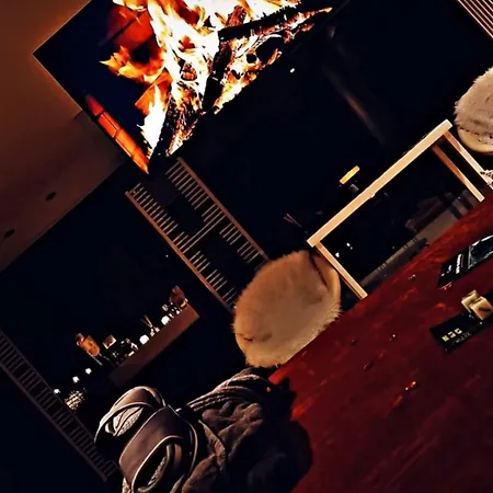 Dtoxx Hotel 4*